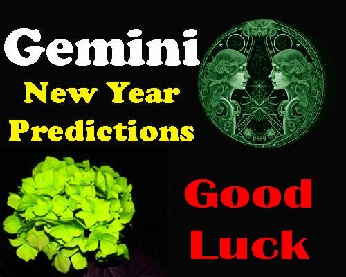 Gemini New Year Horoscope Predictions